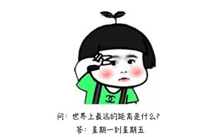 搞笑又吸引人的壁纸，搞笑又吸引人的壁纸图片