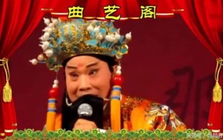 豫剧打金枝简介，豫剧打金枝简介内容
