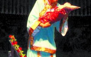河南地方戏曲小品大全，河南地方戏曲大全视频