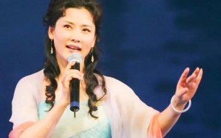 何赛飞主演的电视剧有哪些，何赛飞主演的电视剧有哪些名字