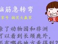 幽默风趣的笑话正能量，幽默风趣的笑话正能量20字