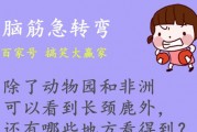 幽默故事古今笑话短篇，幽默故事短篇