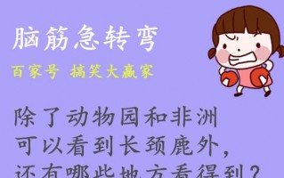 幽默风趣的笑话正能量，幽默风趣的笑话正能量20字