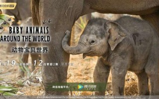 动物谜语大全儿童3到6岁，动物谜语大全儿童3到6岁脑筋急转弯