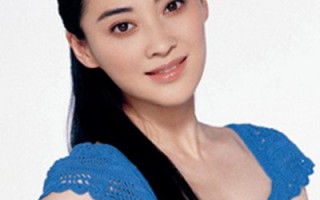 演员刘涛的个人资料简介，演员刘涛的个人资料简介图片